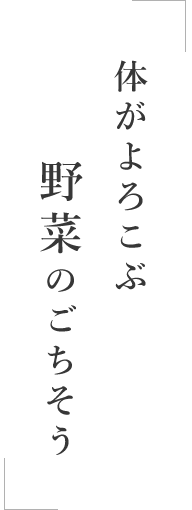 体がよろこぶ野菜のごちそう